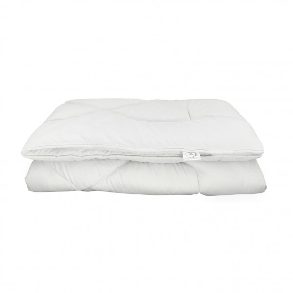 10808-2770-thickbox_default.jpg